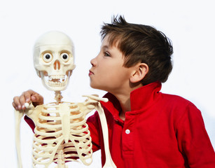 Anatomie