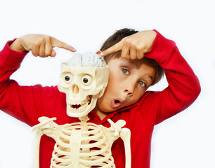 Anatomie