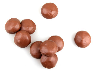 chocolate gathering