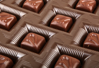 chocolate gathering