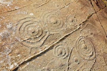 Cup and Ring marked stone