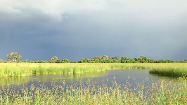 Panorama Landschaft im Okavangadelta in Botswana