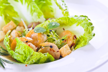 Grilled chicken fillet