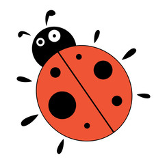 Fototapeta premium ladybug