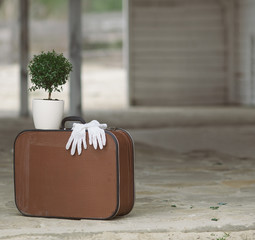 Old fashioned suitcase, white gloves and myrtle tree