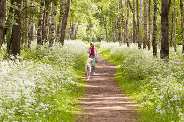 The woman walks with a dog in a wood