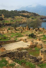 Foto op Plexiglas Romeinse ruïnes van Tipaza-Algerije © Jokari