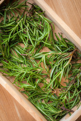 Fresh Rosemary