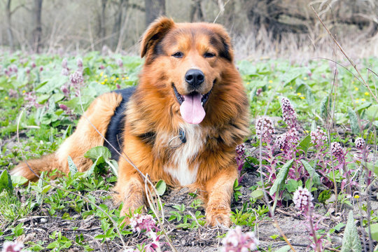 Endlich Fr&uuml;hling