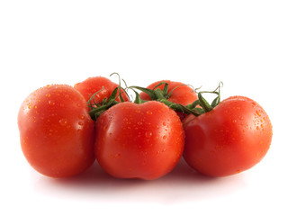 Fresh red tomatoes on branch. Isolated on white.