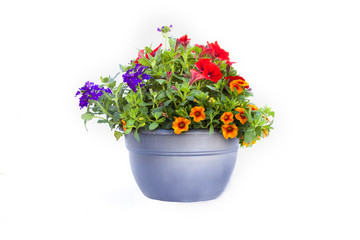 Tiesto de flores.
