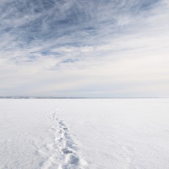 ice desert winter landscape
