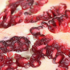 pomegranate (details)