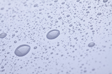 Water drop on white background 