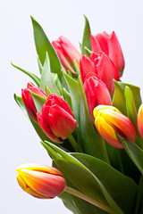Spring bouquet of tulips 