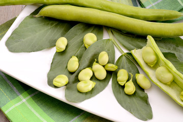 fresh broad bean