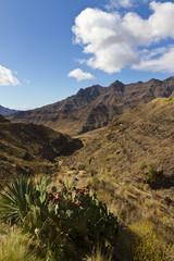 Vulcanic Valley and Mountains