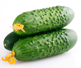 Fresh cucumber