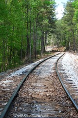 Railroad track through trees