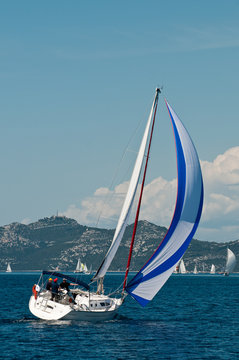 Sailing boat in the regatta
