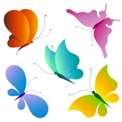 Printed roller blinds Butterfly butterfly,butterflies vector