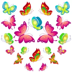 Foto auf Acrylglas Schmetterling Schmetterling, Schmetterlingsvektor