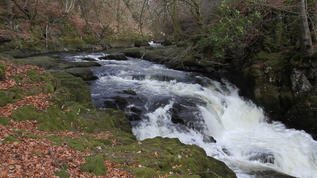River Devon near Rumbling Bridge Scotland