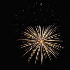 Obraz premium Fireworks, salute.