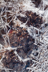 ice crystals under frozen brook