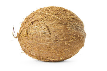 Coconut