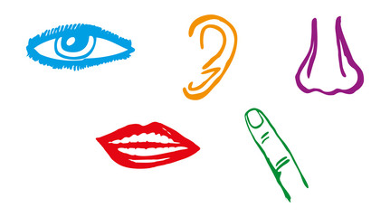 Five senses icon set - Vector Illustration