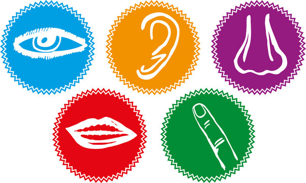 Five senses icon set - Vector Illustration