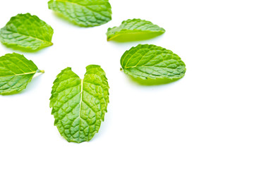 Peppermint on a white background
