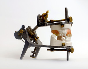 dental lab denture