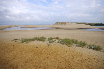embouchure du courant d'huchet - moliets et maa