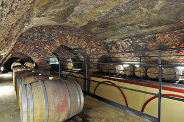 File di botti di vino