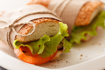 Fresh and tasty sandwich