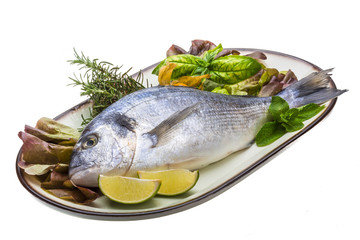 Fresh raw dorada