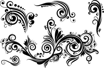 Set of floral elements for design