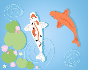 koi background
