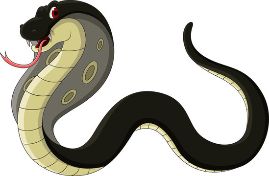 black cobra cartoon for you design