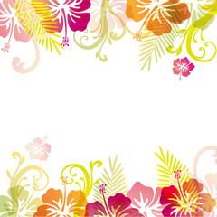 hibiscuses and background