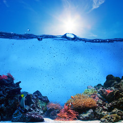 Underwater scene. Coral reef, clean water, blue sunny sky