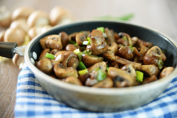 Gebratene Champignons  mit Lauchzwiebeln