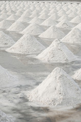 Salt fields in thailand