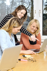 Junge Frauen beim gemeinsamen Lernen