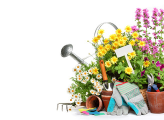 Gardening tools and flowers