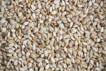 Sesame grains