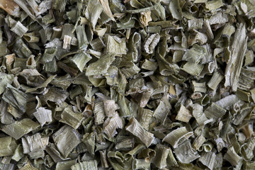 Chives - erba cipollina