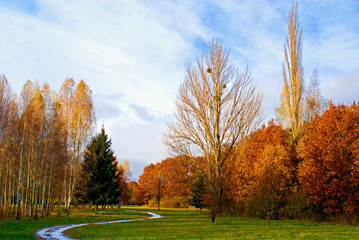 Autumn in the Alexandria park